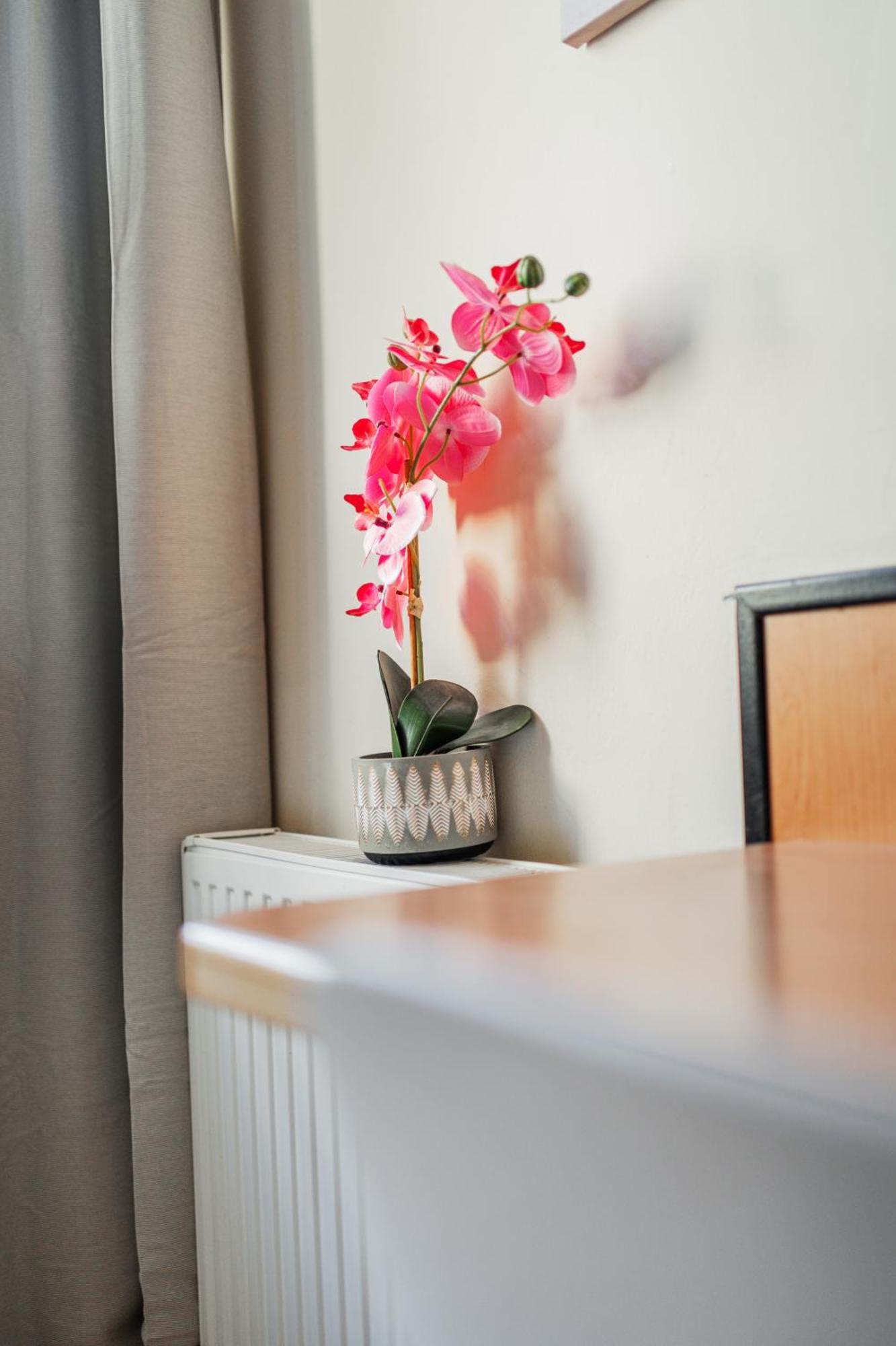 West Business Hotel Vienne